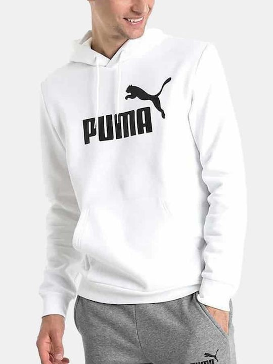 ../../aimeos/1.d/files/andriko-fouter-puma-ess-big-logo-hoodie-fl-586686-02311873.jpeg