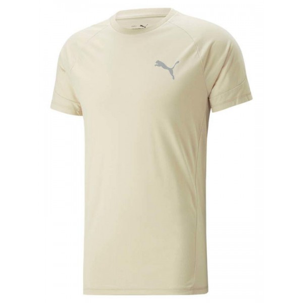 Ανδρικό T-Shirt Puma Evostripe Tee 673311 88