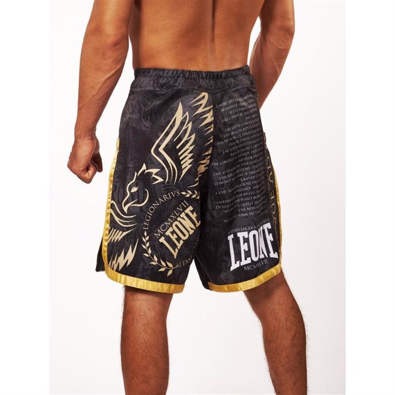 ../../aimeos/1.d/files/leone-legionarivs-ii-mma-shorts262623.jpeg