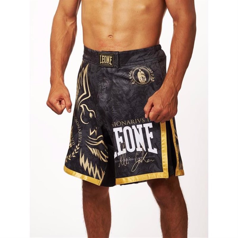 ../../aimeos/1.d/files/leone-legionarivs-ii-mma-shorts262624.jpeg